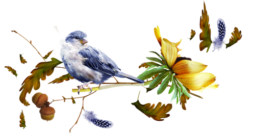 őszi állatok_13.png